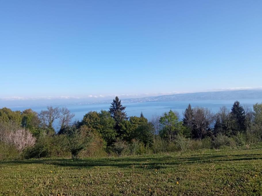 Lugrin Proche Du Lac Et Montagne Exteriér fotografie