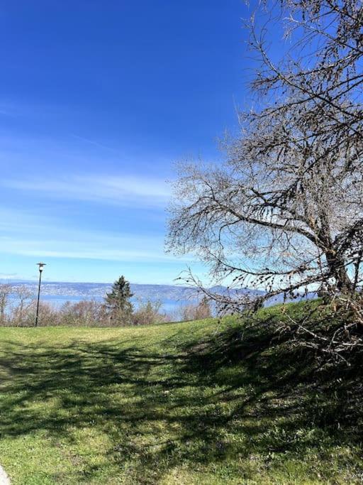 Lugrin Proche Du Lac Et Montagne Exteriér fotografie